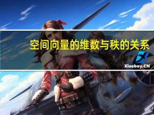 空间向量的维数与秩的关系