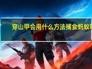 穿山甲会用什么方法捕食蚂蚁呢