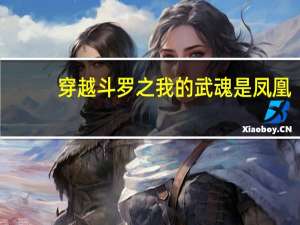 穿越斗罗之我的武魂是凤凰（斗罗大陆之武魂凤凰）