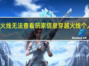 穿越火线无法查看玩家信息 穿越火线个人信息查询