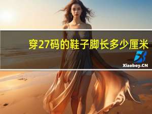 穿27码的鞋子脚长多少厘米