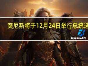 突尼斯将于12月24日举行总统选举