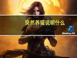 突然养猫说明什么