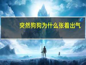 突然狗狗为什么张着出气