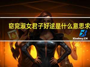 窈窕淑女君子好逑是什么意思求解（窈窕淑女 君子好逑是什么意思）