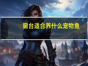 窗台适合养什么宠物鱼