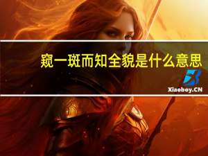 窥一斑而知全貌是什么意思