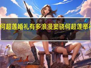 窦骁何超莲婚礼有多浪漫 窦骁何超莲举行婚前派对