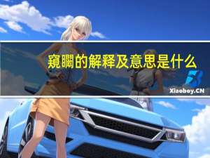 窺矙的解释及意思是什么