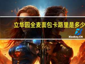 立华园 全麦面包卡路里是多少