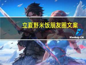 立夏野米饭朋友圈文案