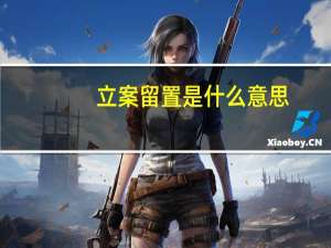 立案留置是什么意思