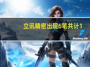 立讯精密出现6笔共计1.76亿元大宗交易