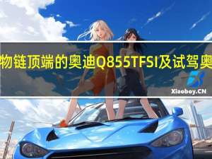 站在食物链顶端的奥迪Q855TFSI及试驾奥迪Q855TFSI