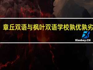 章丘双语与枫叶双语学校孰优孰劣解析