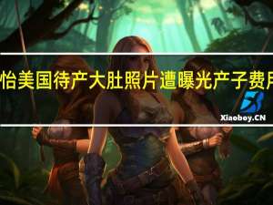 章子怡美国待产  大肚照片遭曝光产子费用高达十万（图）
