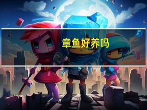 章鱼好养吗