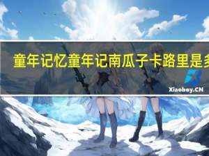 童年记忆 童年记 南瓜子卡路里是多少
