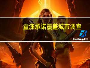 童渊承诺覆盖城市调查