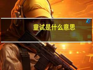 童试是什么意思