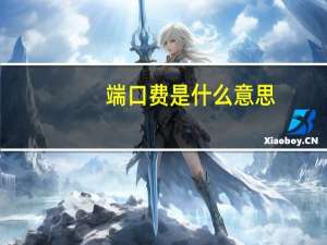 端口费是什么意思
