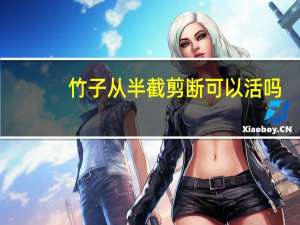 竹子从半截剪断可以活吗