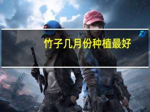 竹子几月份种植最好