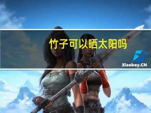 竹子可以晒太阳吗