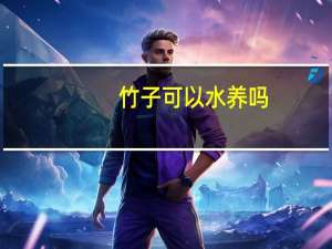 竹子可以水养吗