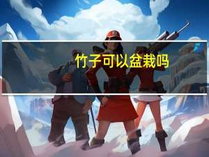 竹子可以盆栽吗