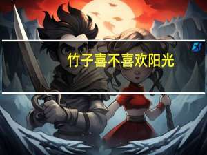 竹子喜不喜欢阳光