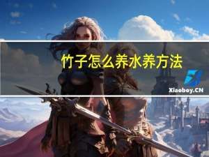 竹子怎么养水养方法