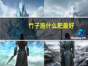 竹子施什么肥最好