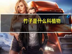 竹子是什么科植物