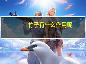 竹子有什么作用呢？