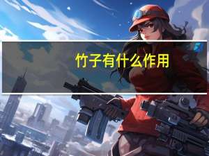 竹子有什么作用_