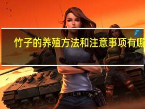 竹子的养殖方法和注意事项有哪些