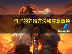 竹子的养殖方法和注意事项