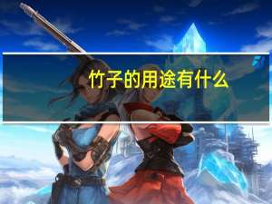 竹子的用途有什么
