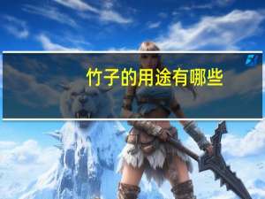 竹子的用途有哪些