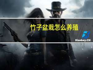 竹子盆栽怎么养殖