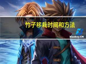 竹子移栽时间和方法