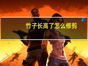 竹子长高了怎么修剪