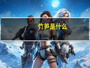 竹笋是什么