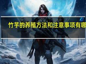 竹芋的养殖方法和注意事项有哪些