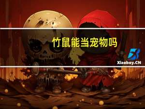 竹鼠能当宠物吗