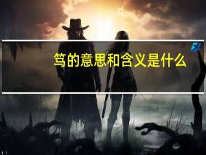 笃的意思和含义是什么（笃的意思是什么）