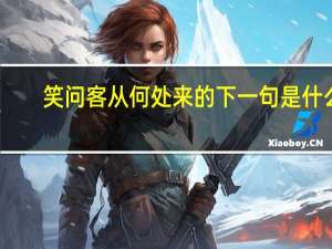 笑问客从何处来的下一句是什么