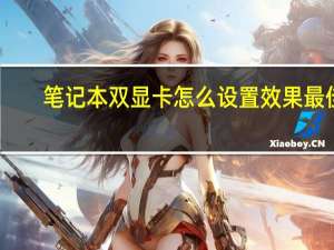 笔记本双显卡怎么设置效果最佳（笔记本双显卡）