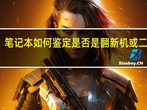 笔记本如何鉴定是否是翻新机或二手机